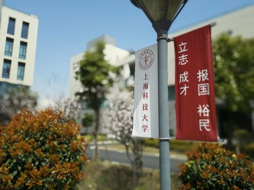 上海科技大学